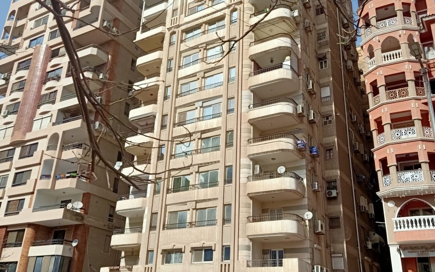 شقة للبيع  250 متر مسجلة شهر عقارى خطوات من النادى الاهلى جاهزة على الفرش والسكن